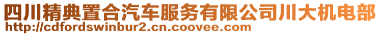 四川精典置合汽車服務(wù)有限公司川大機電部