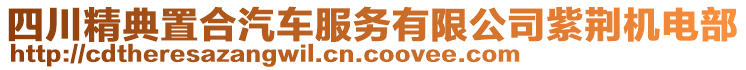 四川精典置合汽車服務(wù)有限公司紫荊機(jī)電部