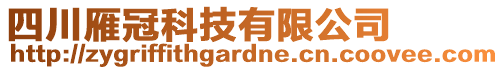 四川雁冠科技有限公司