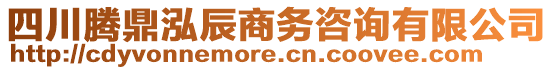 四川騰鼎泓辰商務(wù)咨詢有限公司