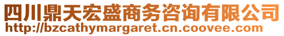 四川鼎天宏盛商務(wù)咨詢有限公司