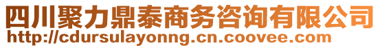 四川聚力鼎泰商務(wù)咨詢有限公司