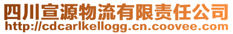 四川宣源物流有限責(zé)任公司