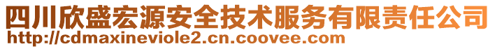 四川欣盛宏源安全技術(shù)服務(wù)有限責(zé)任公司