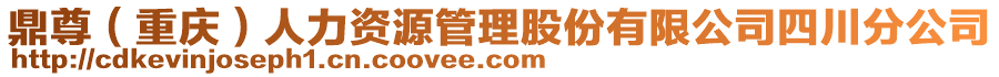 鼎尊（重慶）人力資源管理股份有限公司四川分公司