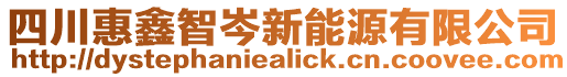 四川惠鑫智岑新能源有限公司