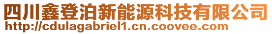 四川鑫登泊新能源科技有限公司