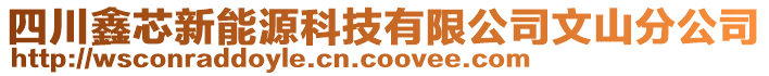 四川鑫芯新能源科技有限公司文山分公司