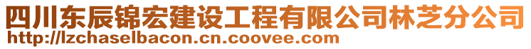 四川東辰錦宏建設(shè)工程有限公司林芝分公司