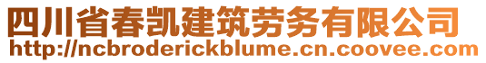 四川省春凱建筑勞務有限公司