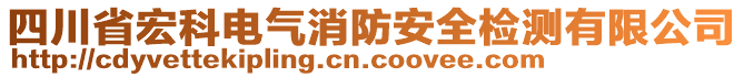 四川省宏科電氣消防安全檢測(cè)有限公司