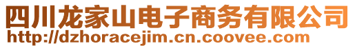 四川龍家山電子商務(wù)有限公司