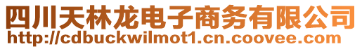 四川天林龍電子商務(wù)有限公司