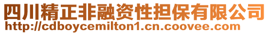 四川精正非融資性擔保有限公司