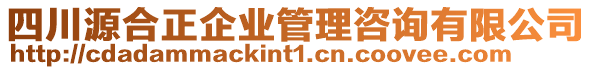 四川源合正企業(yè)管理咨詢有限公司