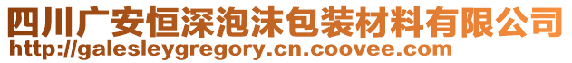 四川廣安恒深泡沫包裝材料有限公司