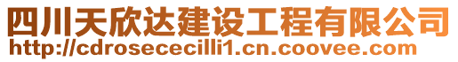 四川天欣達(dá)建設(shè)工程有限公司