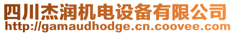 四川杰潤機電設備有限公司