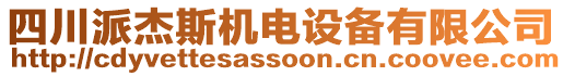 四川派杰斯機(jī)電設(shè)備有限公司