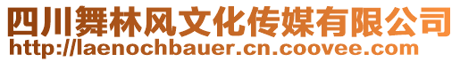 四川舞林風文化傳媒有限公司