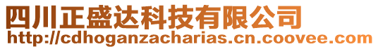 四川正盛達(dá)科技有限公司