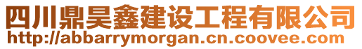 四川鼎昊鑫建設(shè)工程有限公司