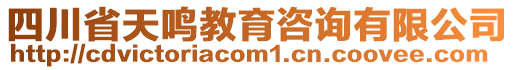 四川省天鳴教育咨詢有限公司