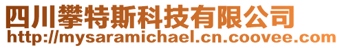 四川攀特斯科技有限公司