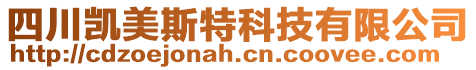 四川凱美斯特科技有限公司