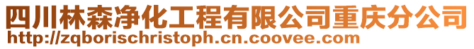 四川林森凈化工程有限公司重慶分公司