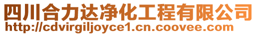 四川合力達(dá)凈化工程有限公司