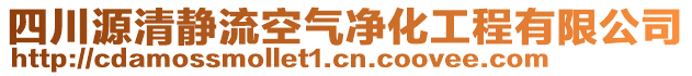 四川源清靜流空氣凈化工程有限公司