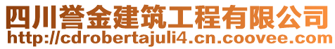 四川譽金建筑工程有限公司