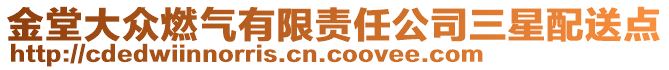 金堂大眾燃?xì)庥邢挢?zé)任公司三星配送點(diǎn)