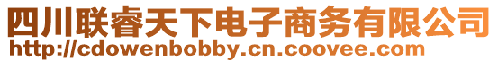 四川聯(lián)睿天下電子商務有限公司