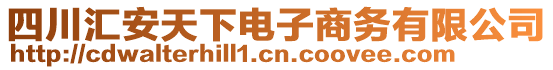 四川匯安天下電子商務(wù)有限公司