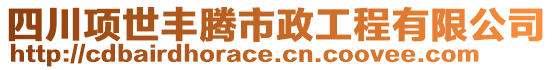 四川項世豐騰市政工程有限公司