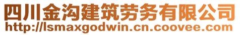 四川金溝建筑勞務有限公司