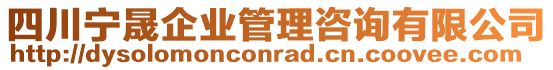 四川寧晟企業管理咨詢有限公司