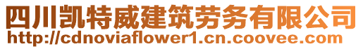 四川凱特威建筑勞務(wù)有限公司