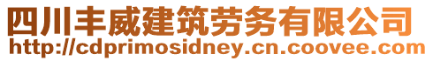 四川豐威建筑勞務(wù)有限公司