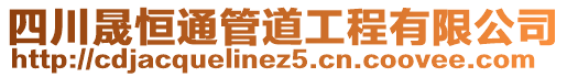 四川晟恒通管道工程有限公司