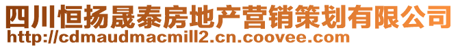 四川恒揚晟泰房地產(chǎn)營銷策劃有限公司