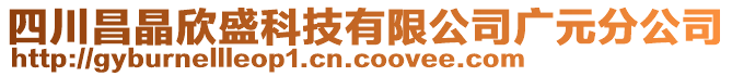 四川昌晶欣盛科技有限公司廣元分公司