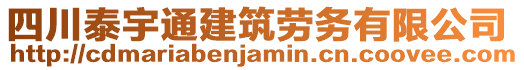 四川泰宇通建筑勞務(wù)有限公司