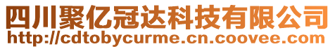 四川聚億冠達科技有限公司