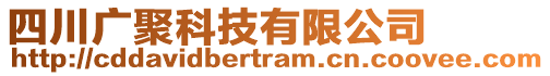 四川廣聚科技有限公司