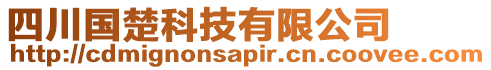 四川國楚科技有限公司