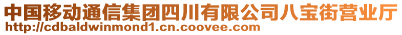 中國移動通信集團四川有限公司八寶街營業(yè)廳