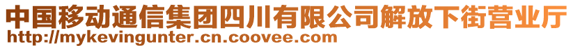 中國(guó)移動(dòng)通信集團(tuán)四川有限公司解放下街營(yíng)業(yè)廳